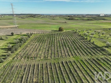 Quinta para Venda em São Vicente do Paul e Vale de Figueira