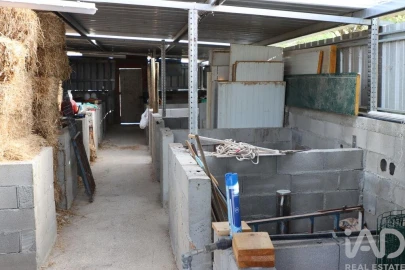 Quinta para Venda em São Vicente do Paul e Vale de Figueira