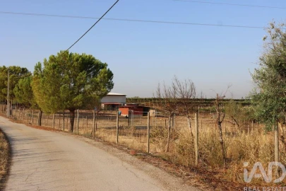 Quinta para Venda em São Vicente do Paul e Vale de Figueira
