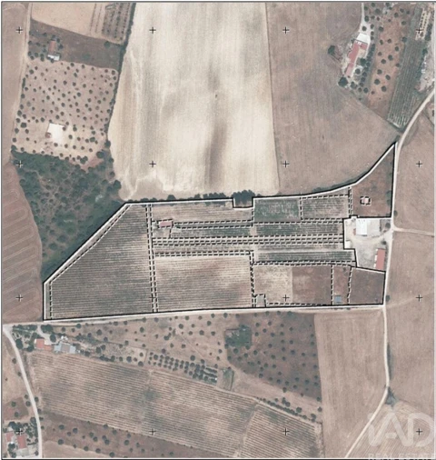 Quinta para Venda em São Vicente do Paul e Vale de Figueira