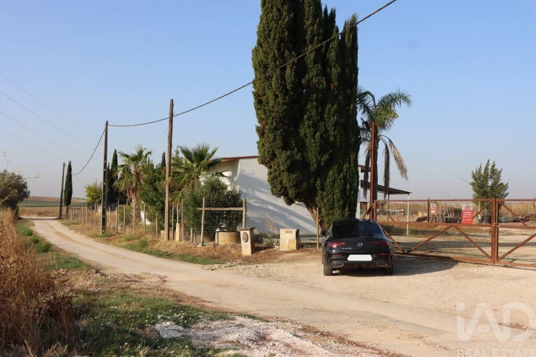 Quinta para Venda em São Vicente do Paul e Vale de Figueira Foto 4