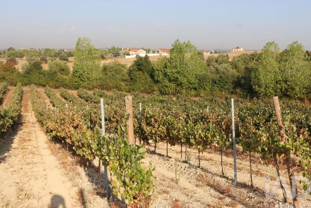 Quinta para Venda em São Vicente do Paul e Vale de Figueira Foto 21