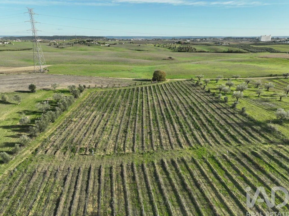Quinta para Venda em São Vicente do Paul e Vale de Figueira Foto 3