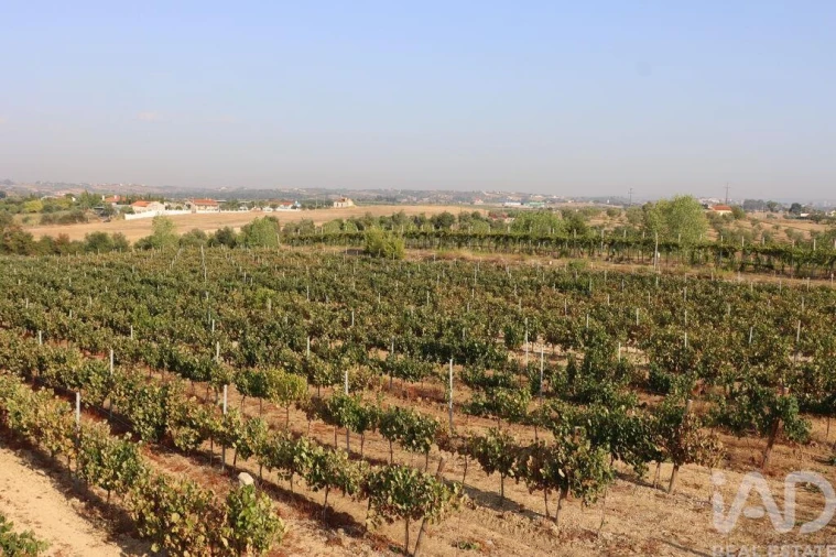 Quinta para Venda em São Vicente do Paul e Vale de Figueira Foto 19