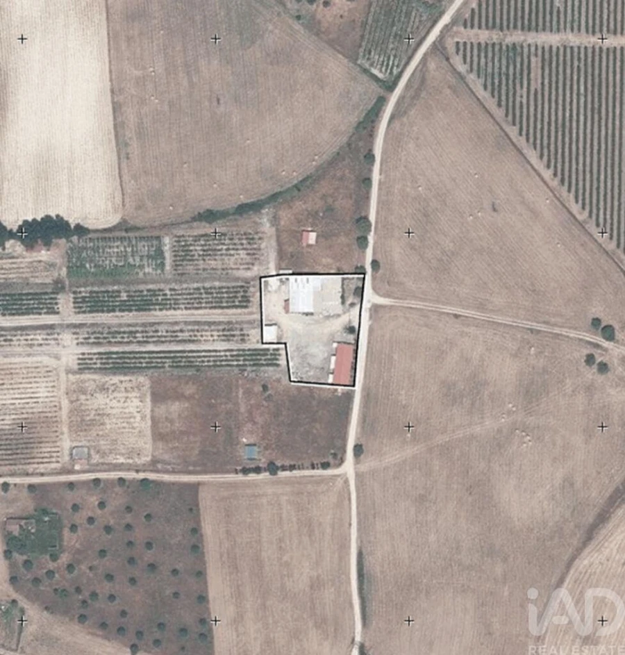 Quinta para Venda em São Vicente do Paul e Vale de Figueira Foto 40