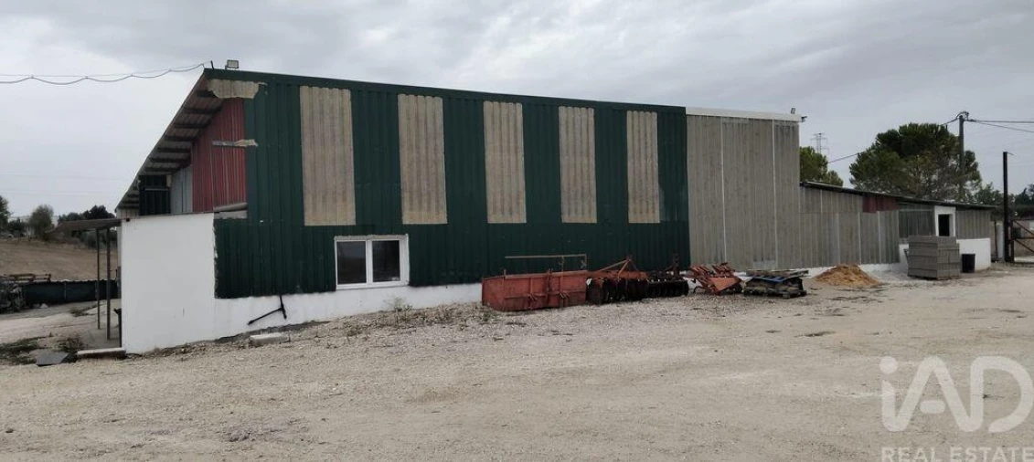 Quinta para Venda em São Vicente do Paul e Vale de Figueira Foto 31