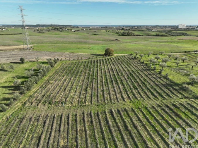 Quinta para Venda em São Vicente do Paul e Vale de Figueira Foto 3