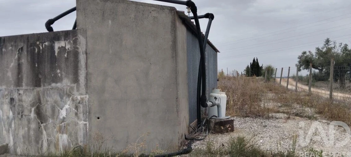 Quinta para Venda em São Vicente do Paul e Vale de Figueira Foto 35