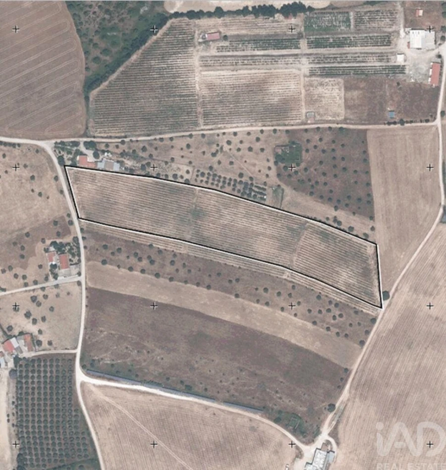 Quinta para Venda em São Vicente do Paul e Vale de Figueira Foto 38