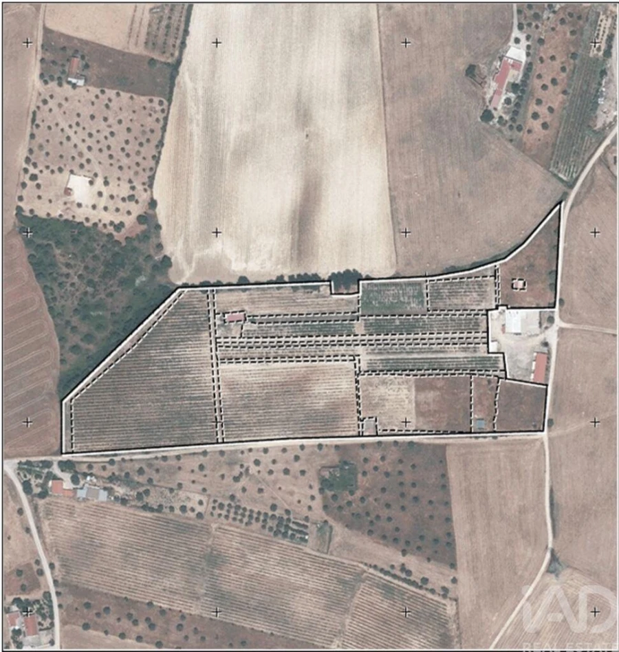 Quinta para Venda em São Vicente do Paul e Vale de Figueira Foto 36