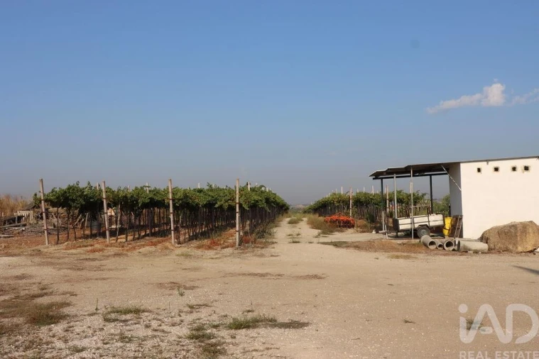 Quinta para Venda em São Vicente do Paul e Vale de Figueira Foto 9