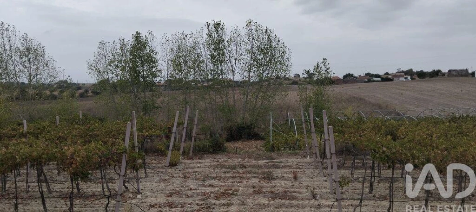 Quinta para Venda em São Vicente do Paul e Vale de Figueira Foto 32