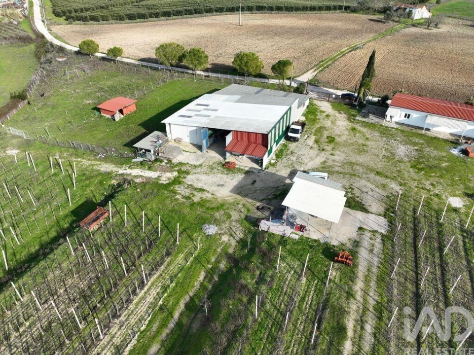 Quinta para Venda em São Vicente do Paul e Vale de Figueira Foto 1