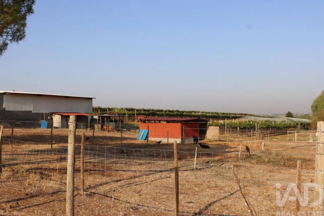 Quinta para Venda em São Vicente do Paul e Vale de Figueira Foto 6