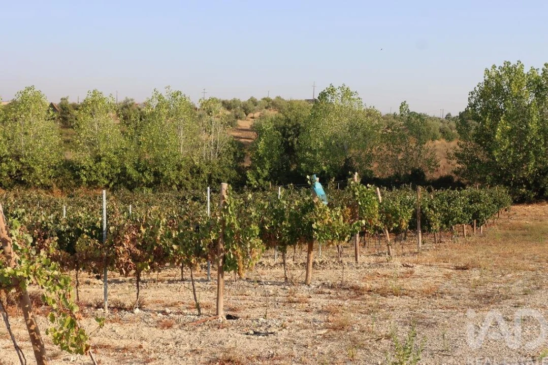 Quinta para Venda em São Vicente do Paul e Vale de Figueira Foto 20