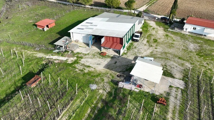 Quinta para Venda em São Vicente do Paul e Vale de Figueira