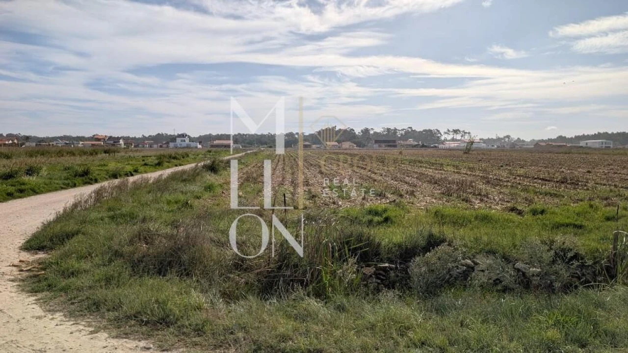 Terreno para Venda em Gafanha do Carmo Foto 7