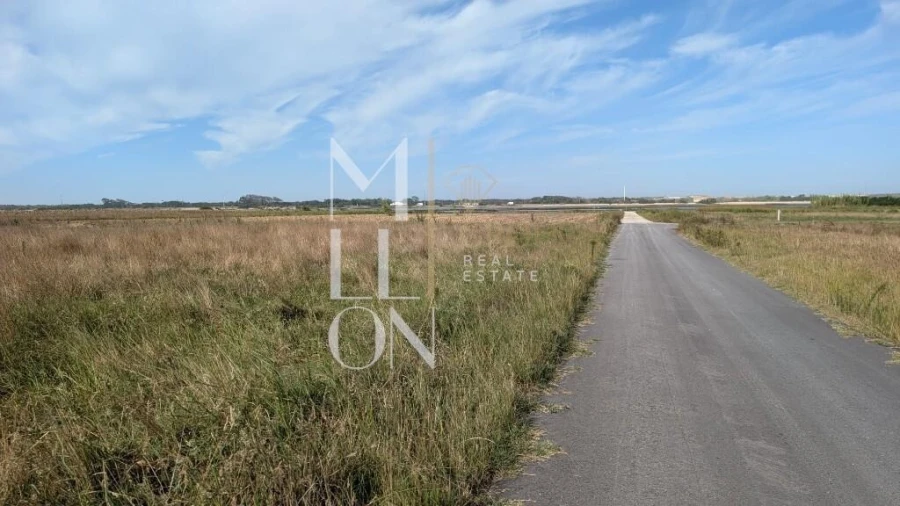 Terreno para Venda em Gafanha do Carmo Foto 4