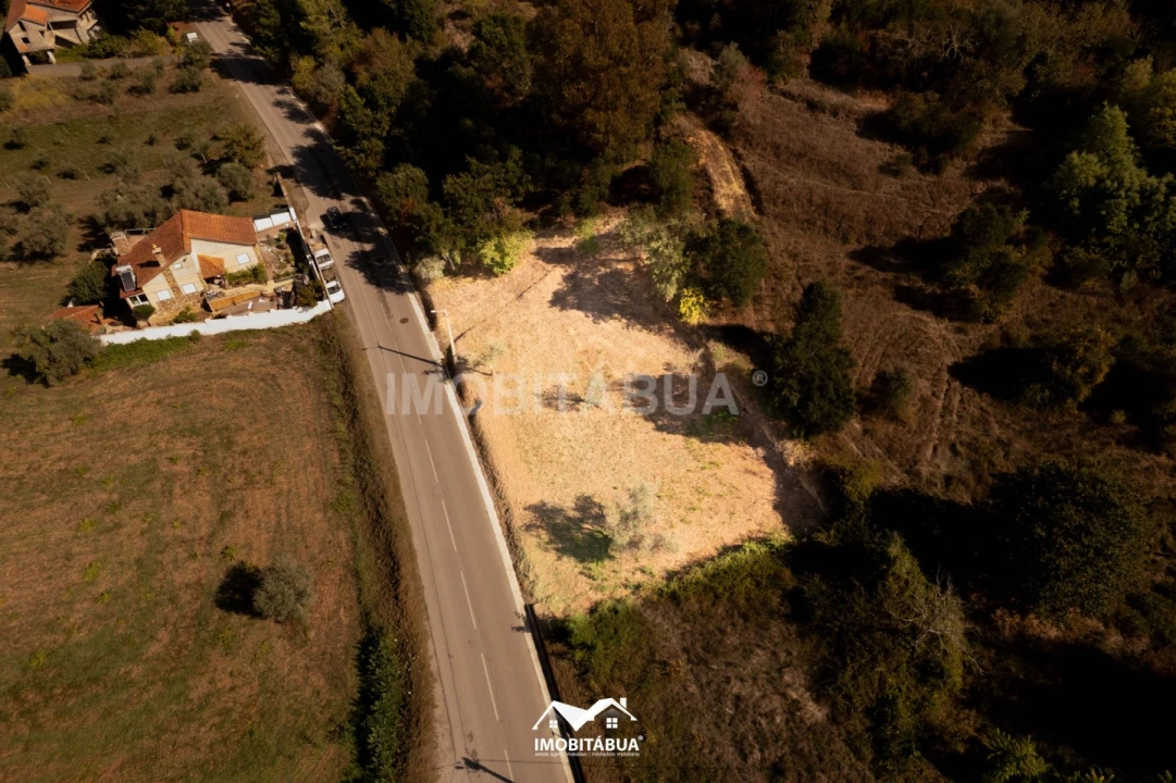 Terreno Agricola ou Rústico para Venda em Secarias Foto 1