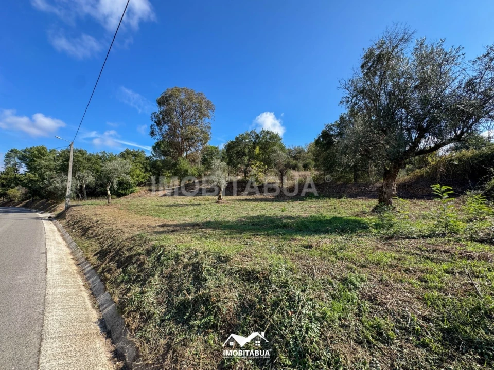 Terreno Agricola ou Rústico para Venda em Secarias Foto 4