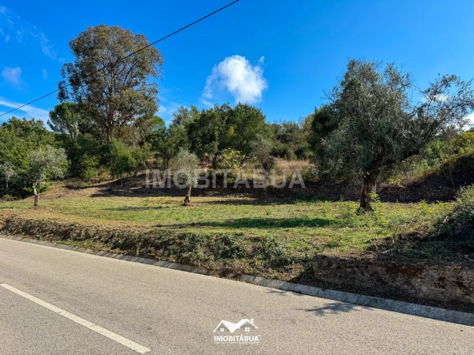 Terreno Agricola ou Rústico para Venda em Secarias Foto 7