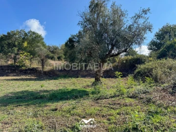 Terreno Agricola ou Rústico para Venda em Secarias