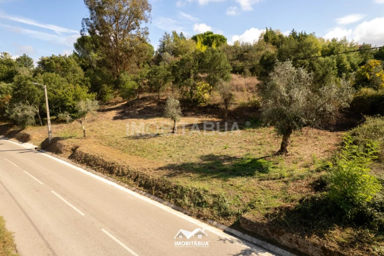 Terreno Agricola ou Rústico para Venda em Secarias Foto 2