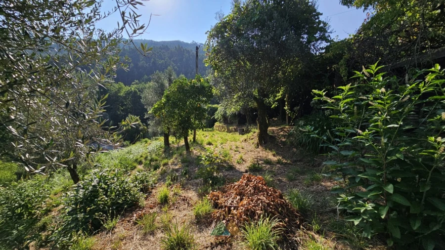 Moradia T3 para Venda em Cabração e Moreira do Lima Foto 9