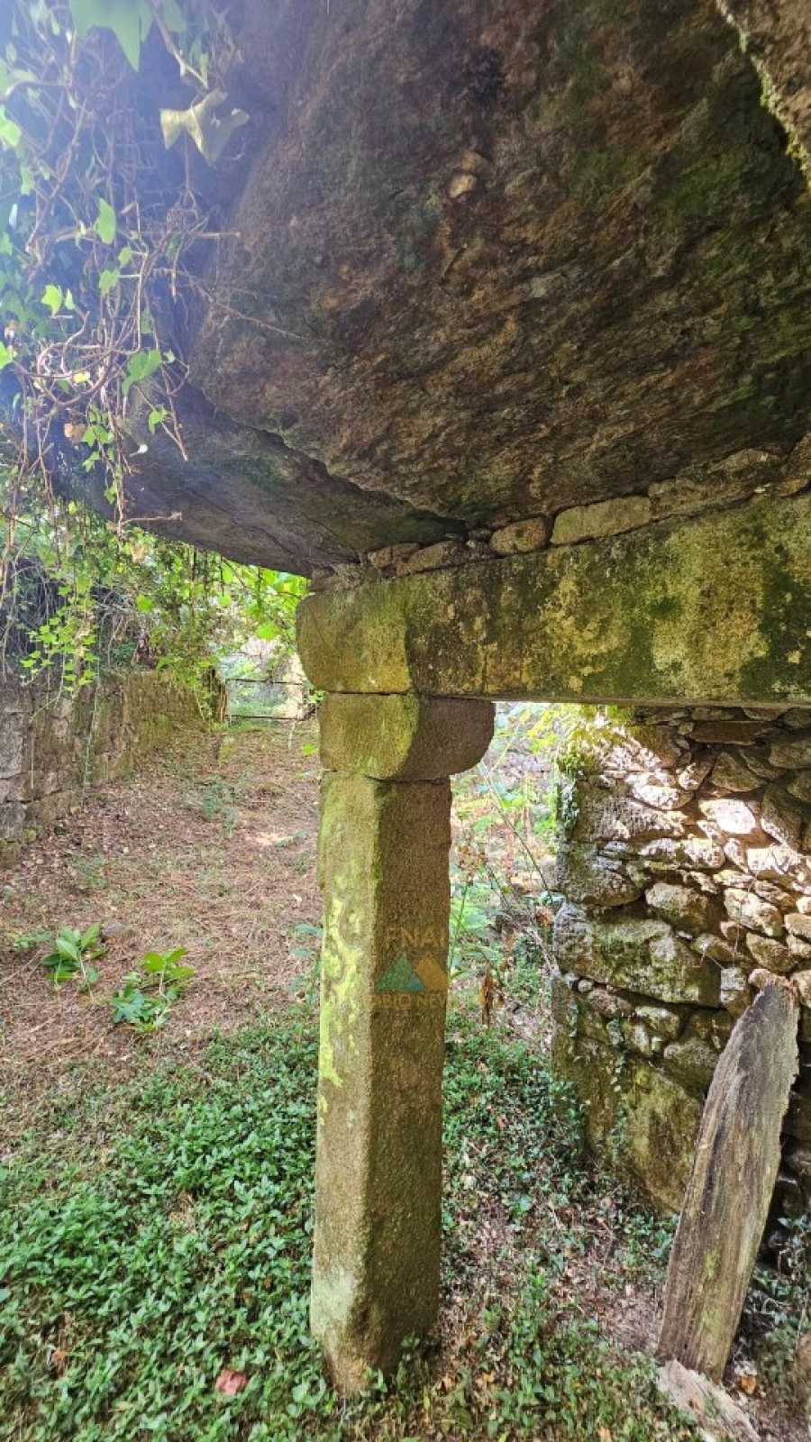 Moradia T3 para Venda em Cabração e Moreira do Lima Foto 18