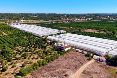 Quinta T6 para Venda em Silves