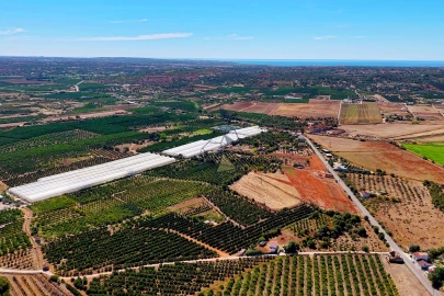 Quinta T6 para Venda em Silves