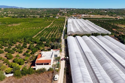 Quinta T6 para Venda em Silves