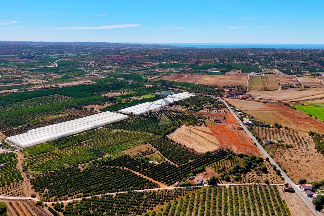 Quinta T6 para Venda em Silves Foto 78