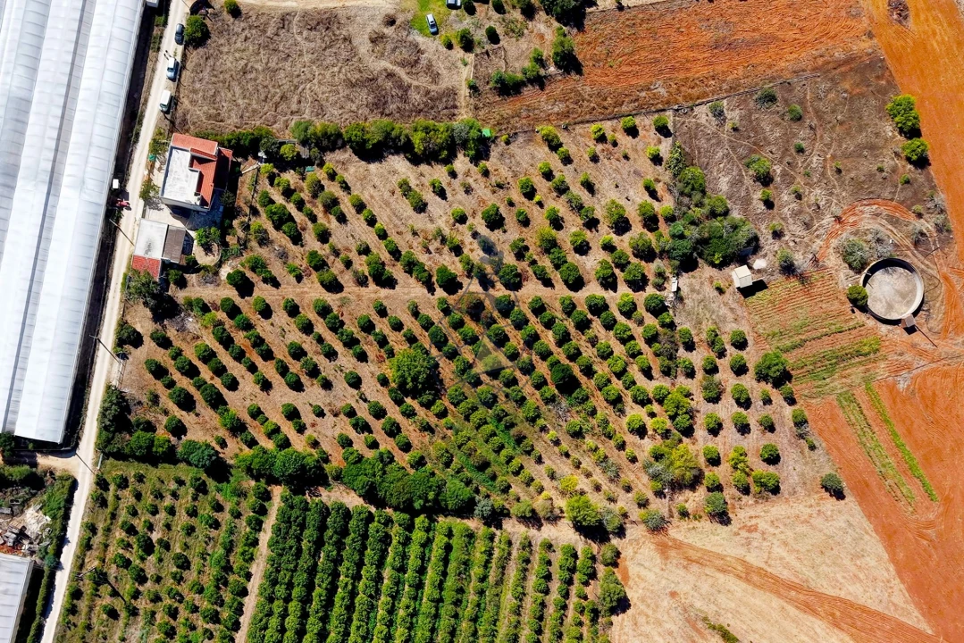 Quinta T6 para Venda em Silves Foto 77
