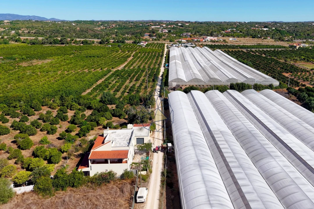 Quinta T6 para Venda em Silves Foto 35