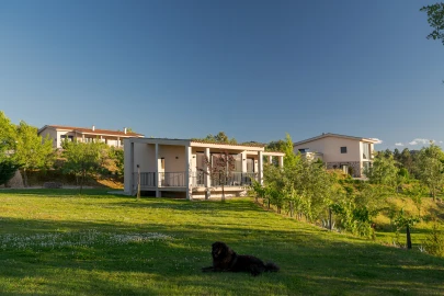 Quinta T5 para Venda em Ferro