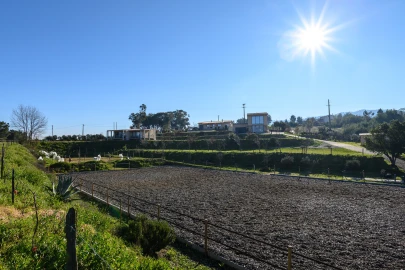 Quinta T5 para Venda em Ferro