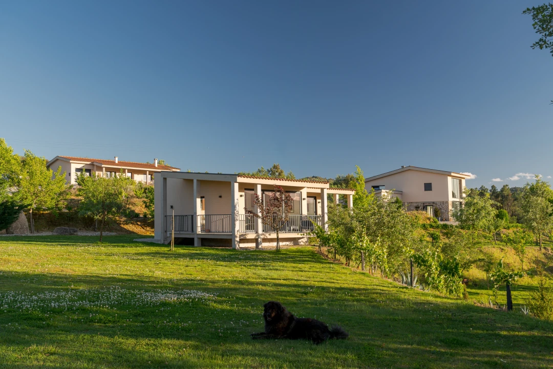 Quinta T5 para Venda em Ferro Foto 40