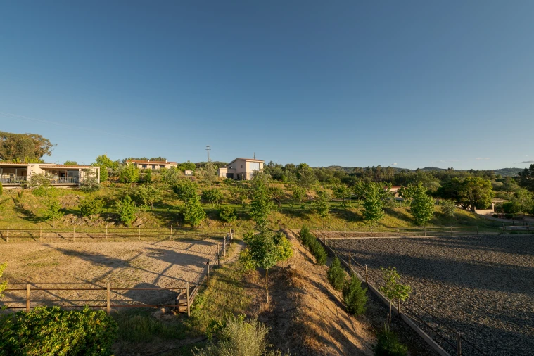 Quinta T5 para Venda em Ferro Foto 48
