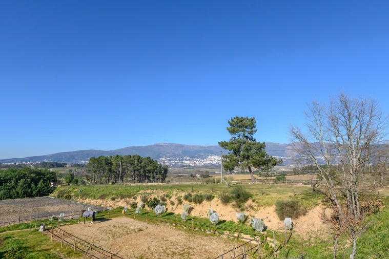 Quinta T5 para Venda em Ferro Foto 57