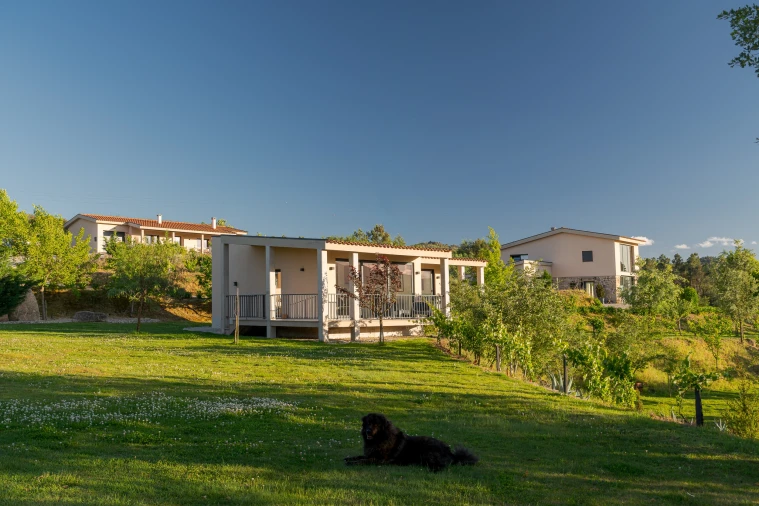 Quinta T5 para Venda em Ferro Foto 40