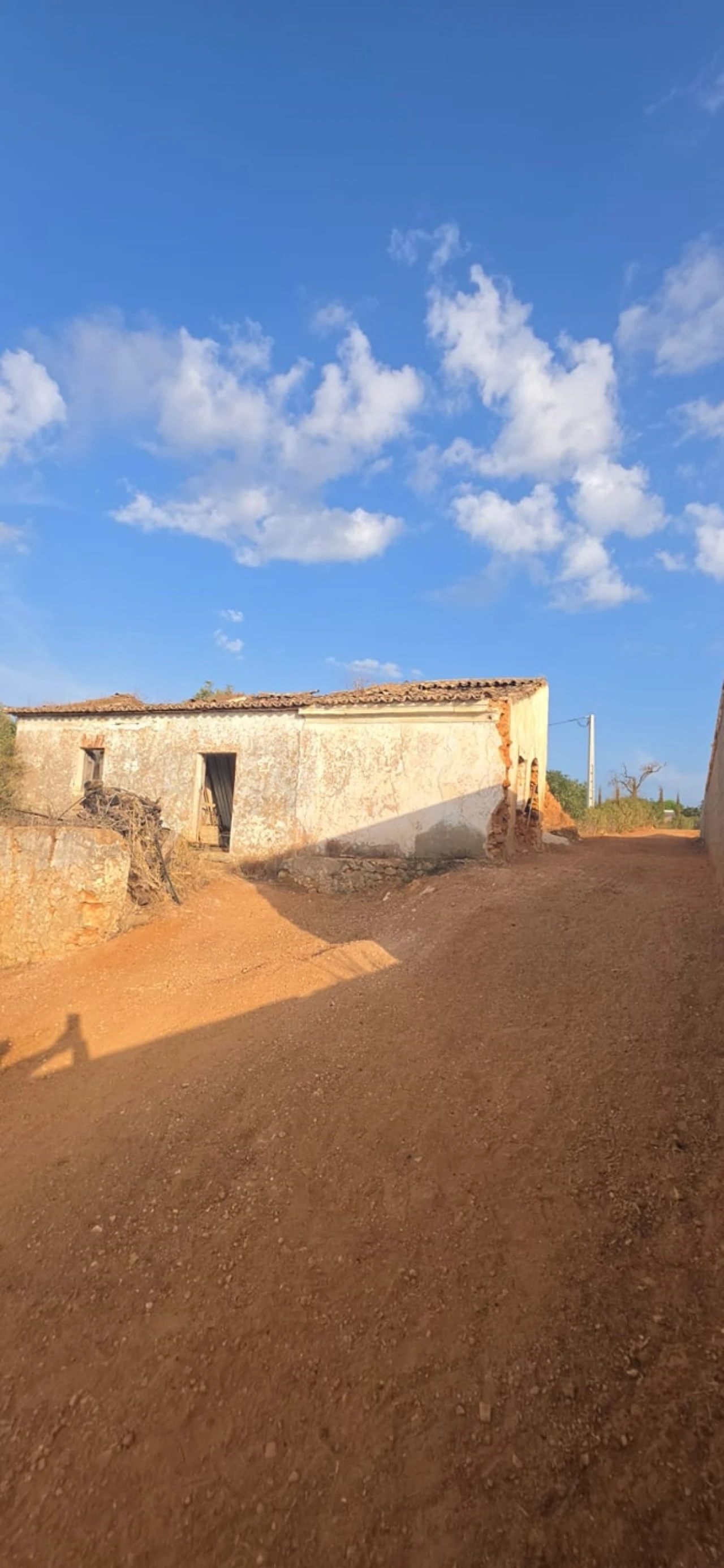Terreno para Venda em Silves Foto 3