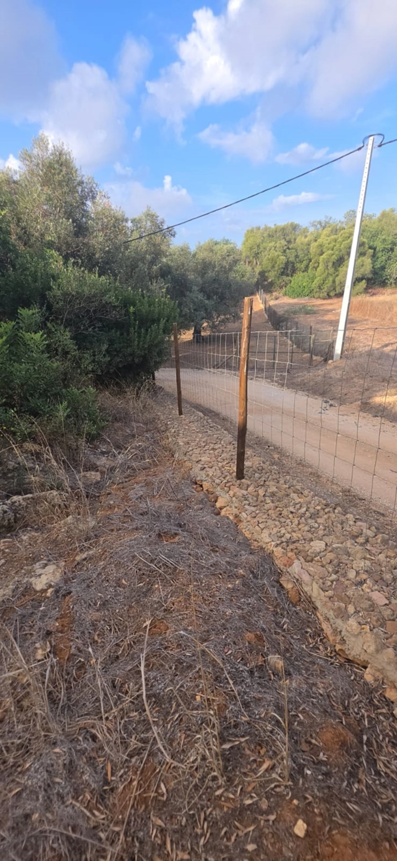 Terreno para Venda em Silves Foto 4