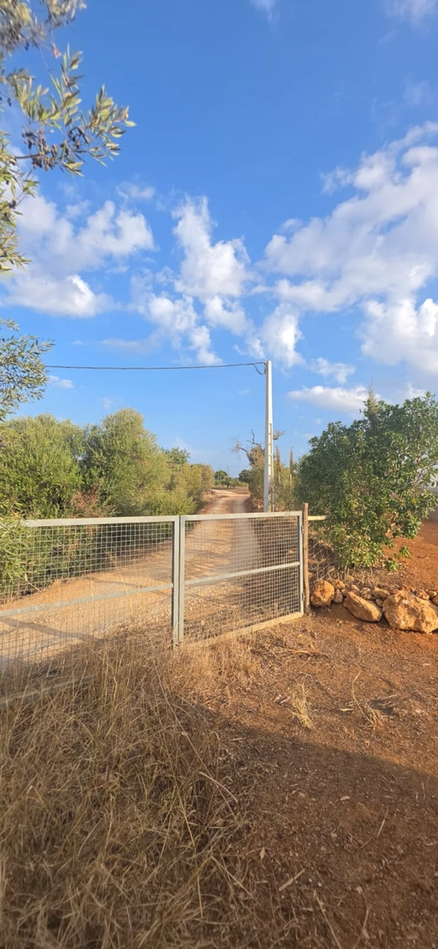 Terreno para Venda em Silves Foto 7