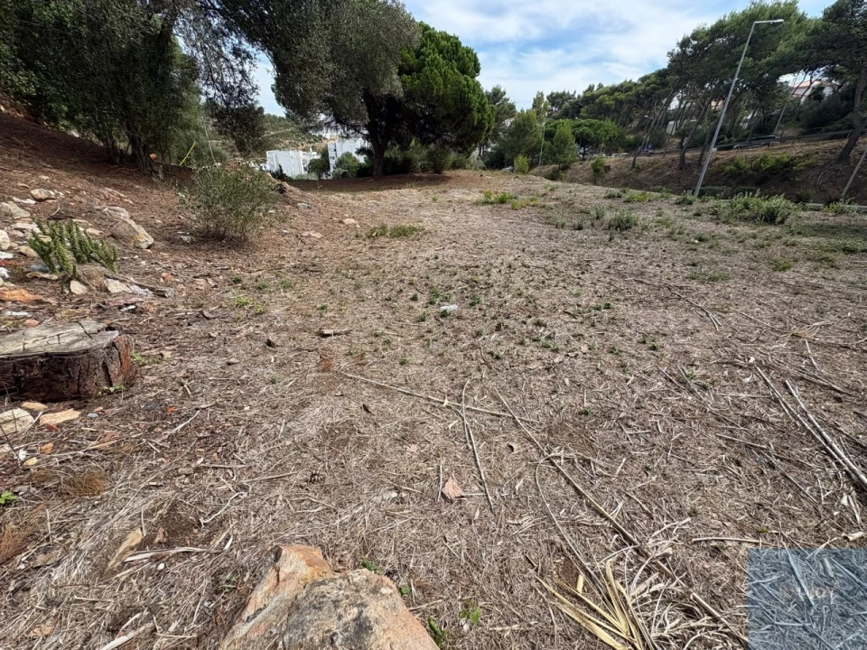 Terreno para Venda em Cascais e Estoril Foto 11