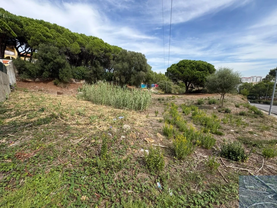 Terreno para Venda em Cascais e Estoril Foto 16