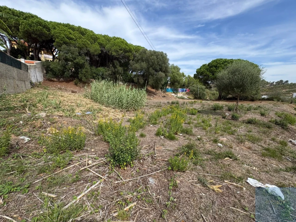 Terreno para Venda em Cascais e Estoril Foto 17