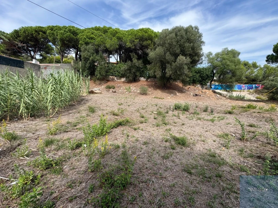 Terreno para Venda em Cascais e Estoril Foto 19