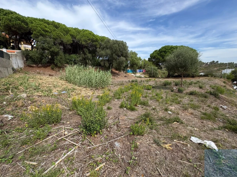 Terreno para Venda em Cascais e Estoril Foto 22