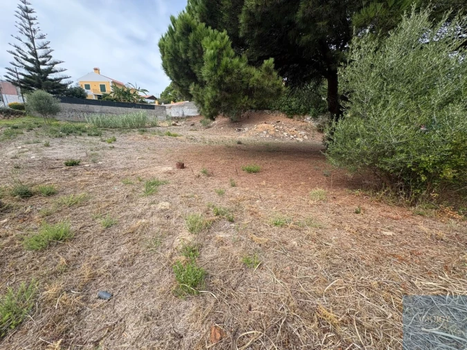 Terreno para Venda em Cascais e Estoril Foto 4